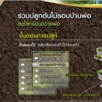 ตัวอย่าง เว็บไซต์ โครงการปลูกต้นไม้รอบบ้านพ่อ กับ กฟผ.